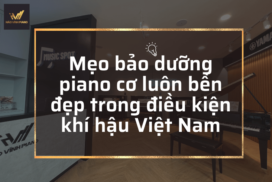 hướng dẫn bảo quản đàn piano cơ