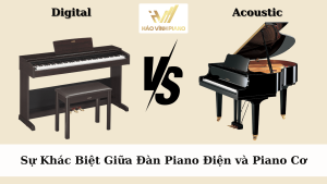 Sự khác biệt giữa đàn piano điện và piano cơ