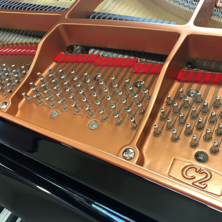 C2X 5