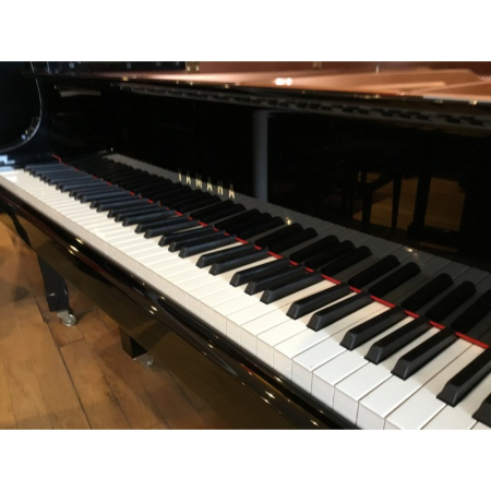 C2X 6