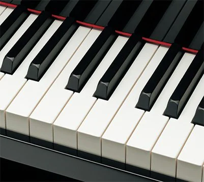 Đàn Piano Cơ Yamaha C6X PE
