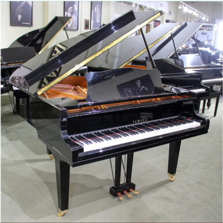 GC1 1