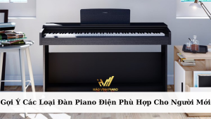 Gợi Ý Các Loại Đàn Piano Điện Phù Hợp Cho Người Mới