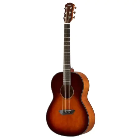 CSF1M T. Brown Sunburst