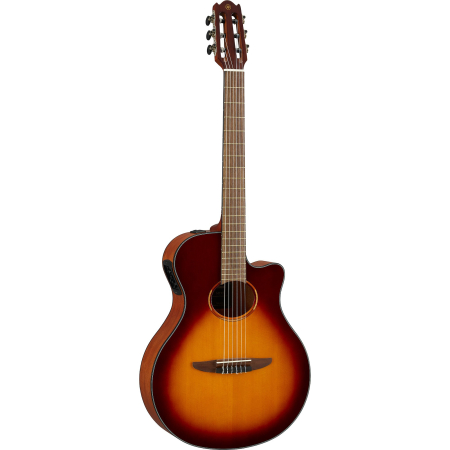 NTX1_brown sunburst