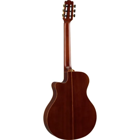 NTX5 b