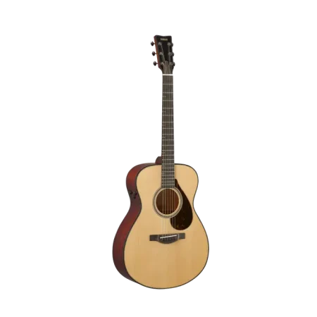 Đàn Guitar Acoustic Yamaha FS9 MX