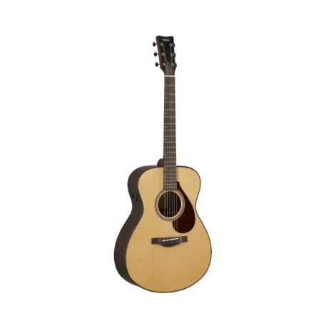 Đàn Guitar Acoustic Yamaha FS9 RX