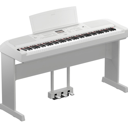 Đàn Piano Điện Yamaha DGX-670