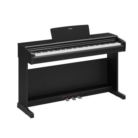 YDP-146R_black
