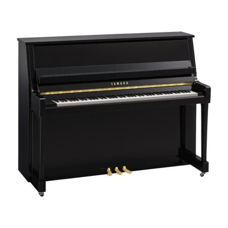 YAMAHA B20-PE