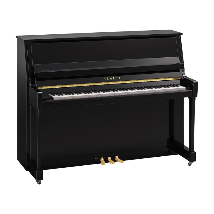 YAMAHA B20-PE